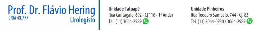 Prof. Dr. Flávio Hering